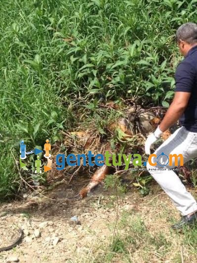 Haitiano muerto